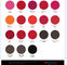 Colori il micro inchiostro positivo del pigmento per le labbra/colori eye-liner/del sopracciglio 19 facoltativi